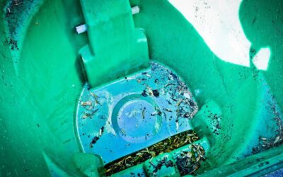 These Rodents & Germs Could Be in Your Dirty Trash Bins