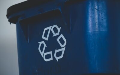 Top Reasons Why You Need a Trash Bin Cleaning Service